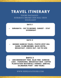 travel tour surabaya bali